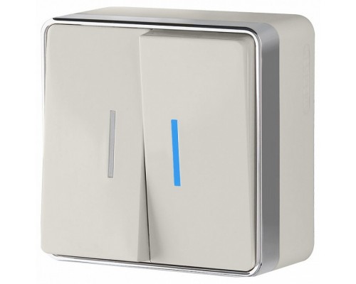 Выключатель двухклавишный с подсветкой Werkel Gallant 2 W5020103 Выключатель двухклавишный с подсветкой Werkel Gallant 2 W5020103