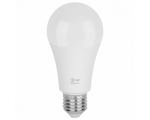 Лампа светодиодная Эра Green Line E27 25Вт 4000K LED A60-25W-840-E27 GL