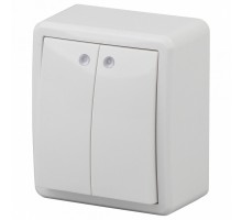 Выключатель двухклавишный с подсветкой Эра Эра Эксперт 11-1205-01