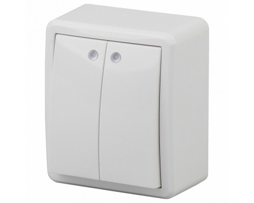 Выключатель двухклавишный с подсветкой Эра Эра Эксперт 11-1205-01