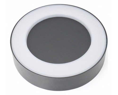 Накладной светильник Favourite Washer 2865-1W Накладной светильник Favourite Washer 2865-1W
