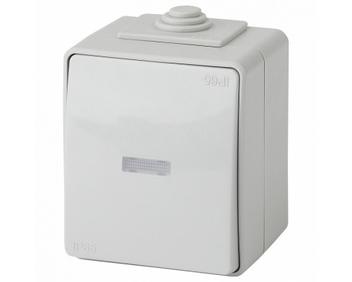 Выключатель одноклавишный с подсветкой Эра Эра Эксперт 11-1602-03