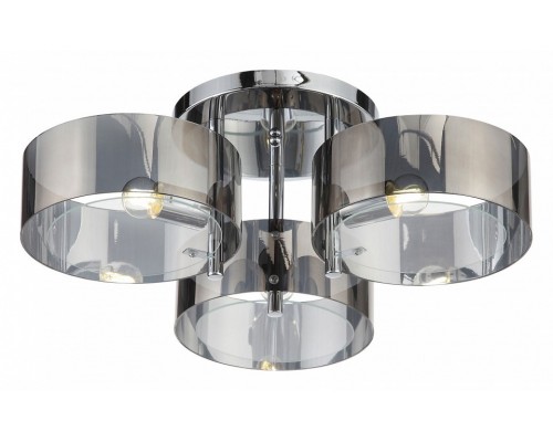 Накладной светильник EVOLUCE Foresta SL483.702.03 Накладной светильник EVOLUCE Foresta SL483.702.03