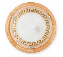 Накладной светильник TopLight Gien TL9173Y-02PN