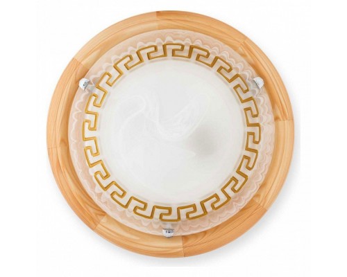 Накладной светильник TopLight Gien TL9173Y-02PN Накладной светильник TopLight Gien TL9173Y-02PN