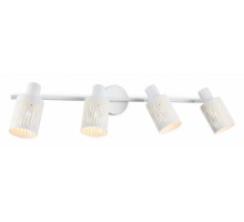 Спот Ambrella Light TR TR8666