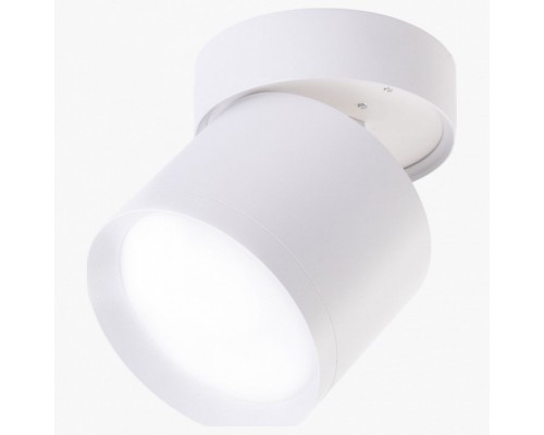 Накладной светильник LEDS POWER SPOT 009445
