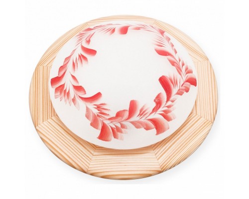 Накладной светильник TopLight Arialda TL9501Y-01PN