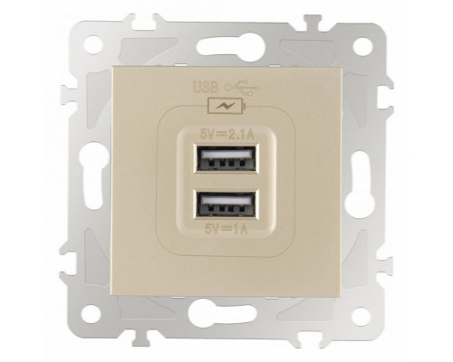 Розетка USB, без рамки Arte Milano am-203 203.46-1.shampan Розетка USB, без рамки Arte Milano am-203 203.46-1.shampan