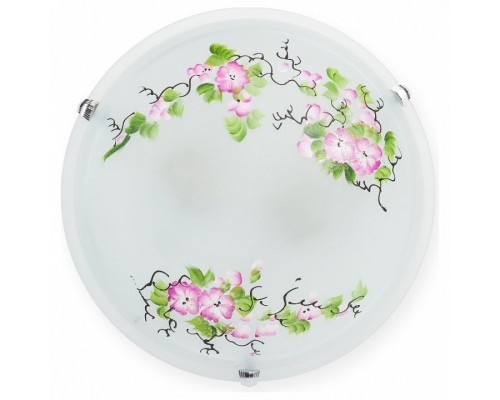 Накладной светильник TopLight Mufi TL9381Y-02WH Накладной светильник TopLight Mufi TL9381Y-02WH