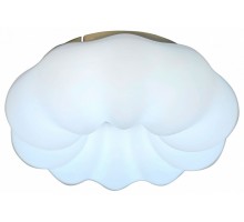Накладной светильник Zortes Soft ZRS.1118.2