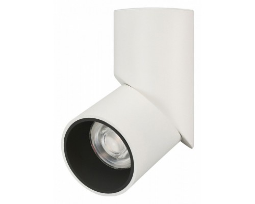 Светильник на штанге Arlight TWIST 024992(1) Светильник на штанге Arlight TWIST 024992(1)