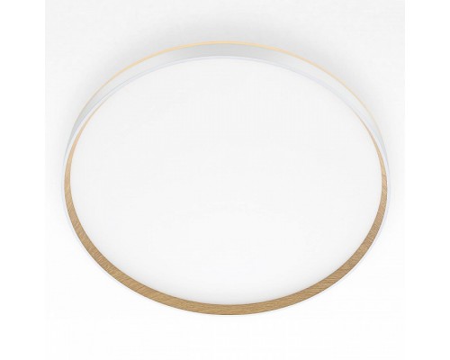 Накладной светильник Citilux ETALON 