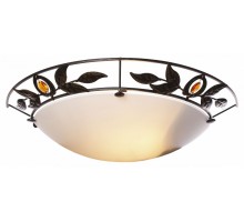 Накладной светильник Velante  305-501-01-old