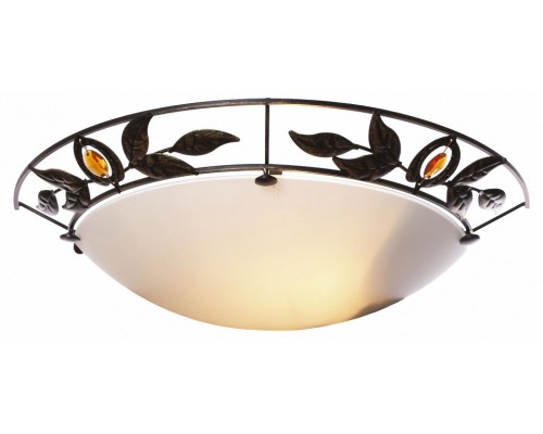 Накладной светильник Velante  305-501-01-old