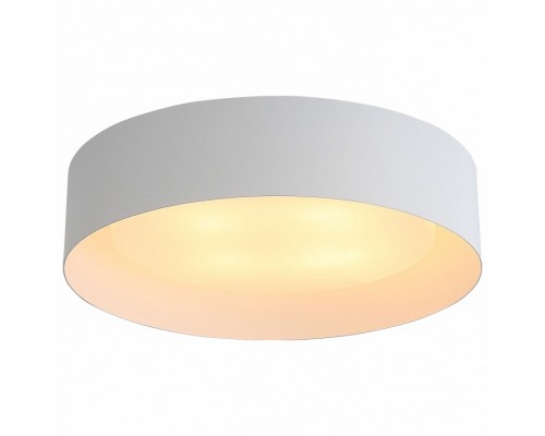 Накладной светильник ST-Luce Chio