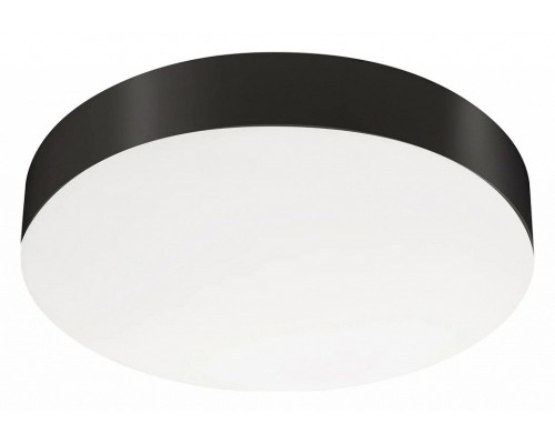 Накладной светильник Arlight SP-FLOWER 049799 Накладной светильник Arlight SP-FLOWER 049799