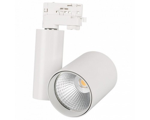 Светильник на штанге Arlight Lgd-Shop LGD-SHOP-4TR-R100-40W Cool SP7500-Fish (WH, 24 deg) Светильник на штанге Arlight Lgd-Shop LGD-SHOP-4TR-R100-40W Cool SP7500-Fish (WH, 24 deg)