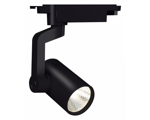 Светильник на штанге Escada 20001 20001TRA/02LED SBK