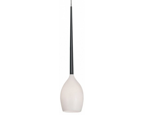 Подвесной светильник Lightstar Meta Duovo 807110 Подвесной светильник Lightstar Meta Duovo 807110