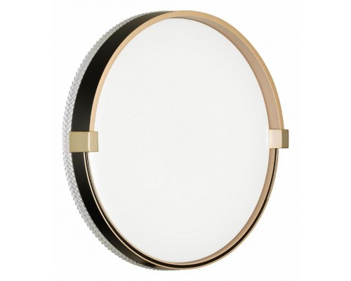 Накладной светильник Sonex Olidi Black 7647/CL Накладной светильник Sonex Olidi Black 7647/CL