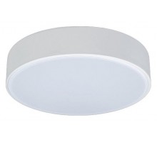 Накладной светильник Loft it Axel 1 10002/12 White