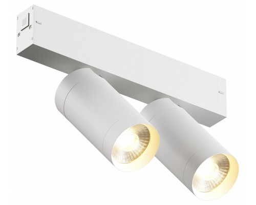 Светильник на штанге Denkirs Smart DK8012-WH Светильник на штанге Denkirs Smart DK8012-WH