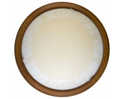 Накладной светильник TopLight Ginger TL9620Y-00OA Накладной светильник TopLight Ginger TL9620Y-00OA