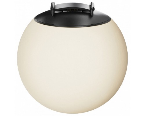 Накладной светильник Maytoni Technical Luna TR125B-10W3K-B