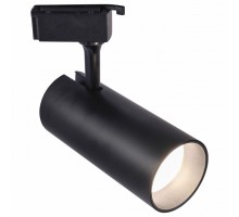 Светильник на штанге Эра  TR5-30 COB BK
