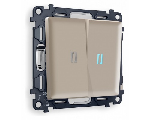 Выключатель двухклавишный с подсветкой без рамки Ambrella Volt Quant MA364020