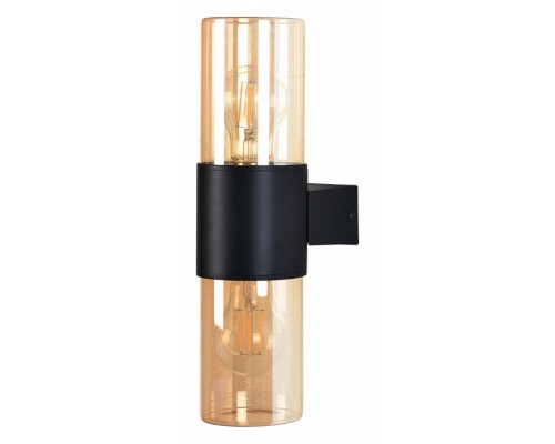 Светильник на штанге Arte Lamp Seginus A6515AL-2BK Светильник на штанге Arte Lamp Seginus A6515AL-2BK