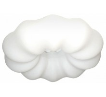 Накладной светильник Zortes Soft ZRS.1118.4