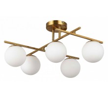 Потолочная люстра EVOLUCE SIERRA SLE1195-302-05