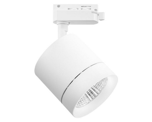 Светильник на штанге Lightstar Canno 301264 Светильник на штанге Lightstar Canno 301264