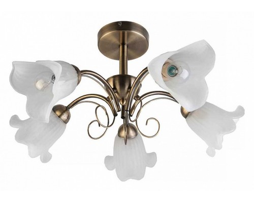 Люстра на штанге TopLight Magdalene TL3490X-05AB Люстра на штанге TopLight Magdalene TL3490X-05AB