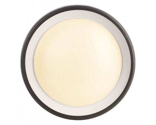 Накладной светильник Deko-Light Canis 731043 Накладной светильник Deko-Light Canis 731043