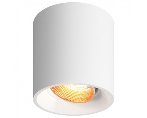 Накладной светильник Denkirs Dk309 DK3090-WBR Накладной светильник Denkirs Dk309 DK3090-WBR