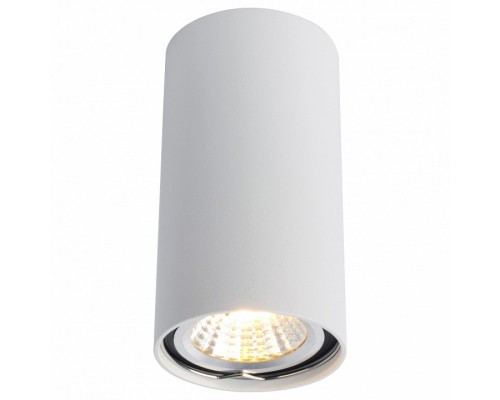 Накладной светильник Arte Lamp 1516 A1516PL-1WH Накладной светильник Arte Lamp 1516 A1516PL-1WH