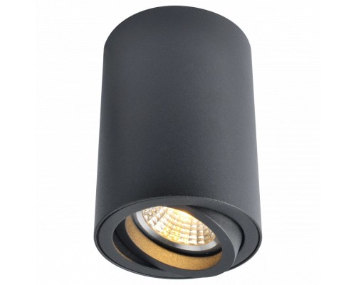 Накладной светильник Arte Lamp 1560 A1560PL-1BK Накладной светильник Arte Lamp 1560 A1560PL-1BK