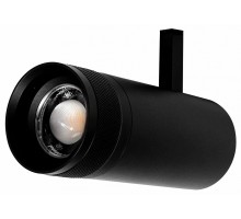 Светильник на штанге Lightstar Canno Pro 304207