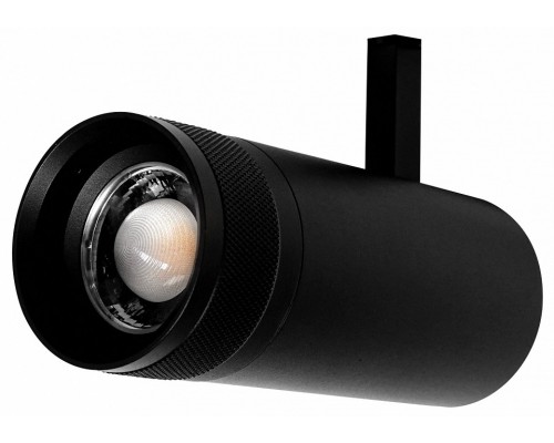 Светильник на штанге Lightstar Canno Pro 304207