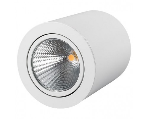 Накладной светильник Arlight Sp-focus-r SP-FOCUS-R120-16W Warm White Накладной светильник Arlight Sp-focus-r SP-FOCUS-R120-16W Warm White