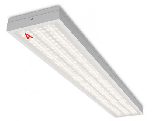 Накладной светильник WoltaPRO ЛАЙНЕР ДПО03-54-142-4К