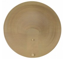 Накладной светильник ST-Luce Fossil 
