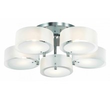 Потолочная люстра EVOLUCE Foresta SL483.502.05