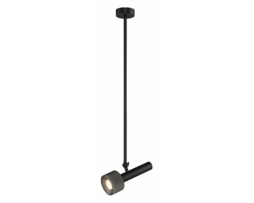 Светильник на штанге iLedex Technical Delta 2361-1 BK+GRP