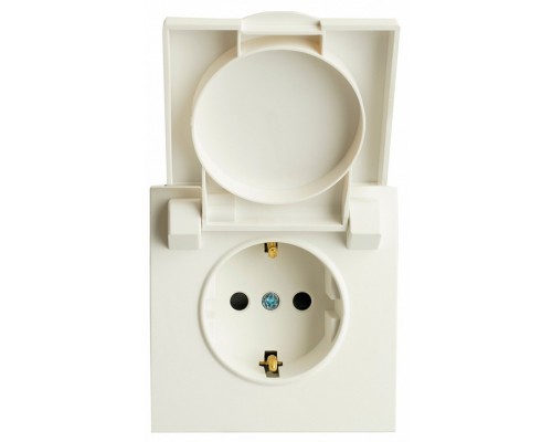 Розетка без заземления и со шторкой, без рамки с крышкой Stekker RST16-5112-01 49881 Розетка без заземления и со шторкой, без рамки с крышкой Stekker RST16-5112-01 49881