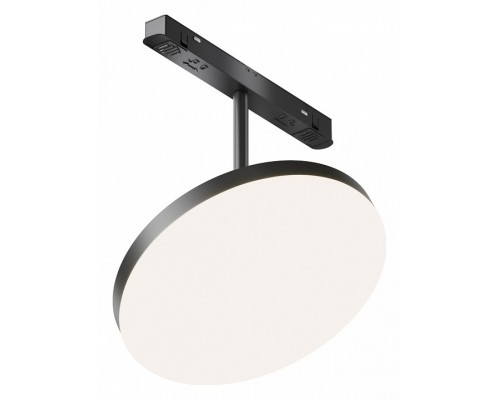 Светильник на штанге Maytoni Plato TR131-2-15W4K-B Светильник на штанге Maytoni Plato TR131-2-15W4K-B