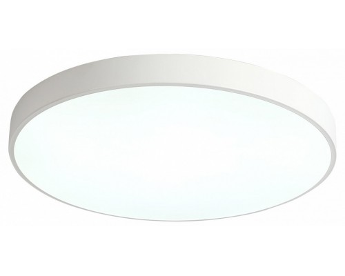 Накладной светильник Zortes Tortty ZRS.02564.96 Накладной светильник Zortes Tortty ZRS.02564.96